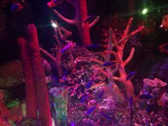 -沈阳海洋探索中心