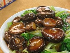 -新合益乡村农庄