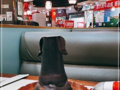 -阳坊胜利涮羊肉(禧乐汇店)