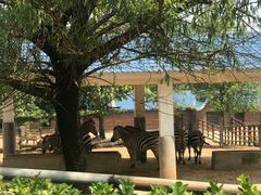 -石家庄市动物园