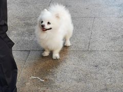 -新鸿港水果市场