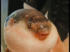 -永安鱼庄·镇江菜(东吴路店)