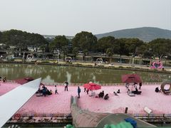 -苏州太湖西山岛开心农场