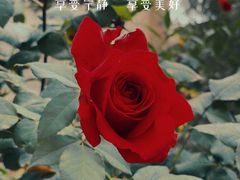 -西安关中民俗艺术博物院