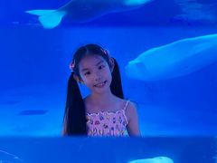 -海合安成都极地海洋公园