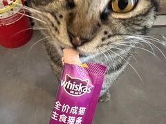-聚首堂·特色小吃·肘子·炙子烤肉烤串(什刹海德胜门店)
