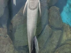 -福州罗源湾海洋世界旅游区