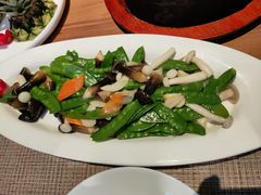 -雀舞云南菜(乐客城店)