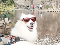 -十渡东湖港风景区