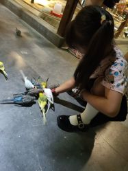 -酷嗒动物文化乐园(cutezoo西溪乐天城店)