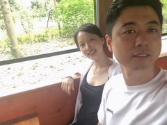 -合肥滨湖国家森林公园