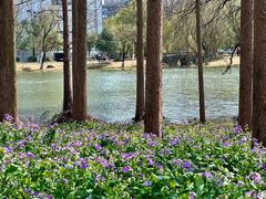 -浙江大学(紫金港校区)