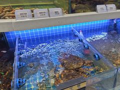 -大众海鲜(巨龙北路店)