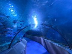 -太平洋海底世界