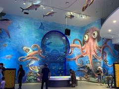 -贝林大翅鲸简餐厅(国家海洋博物馆店)