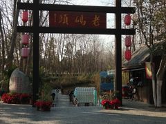 -合肥滨湖国家森林公园