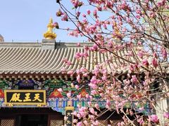 -护国法轮寺