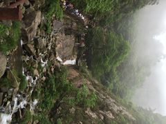 iphone_upload_pic-大明山自然探索公园