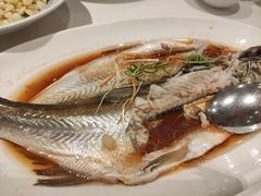 -同庆楼(滨湖万达广场店)