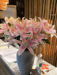 -花隐瑜伽·普拉提·红绳