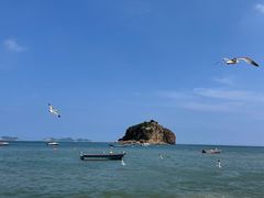 -棒棰岛宾馆景区