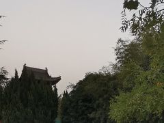 -洛阳白马寺