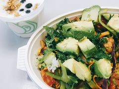 -油梨树 AVOCADO TREE(亮马桥店)