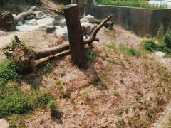 -宁波野生动物园
