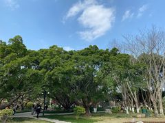 -江心屿景区
