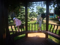 -武汉紫薇都市田园