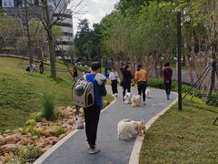 -景田北六街公园宠物主题园