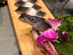 -金龙烧烤·牛肉面(西塔店)