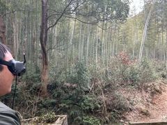 -午潮山国家森林公园