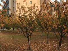 -南京医科大学(江宁校区)