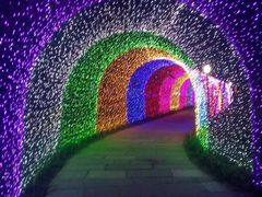 -杭州湾海上花田景区