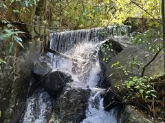 -四会奇石河风景区