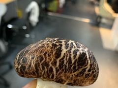 -郑州美盛喜来登大酒店