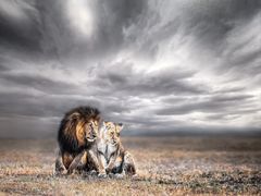 -罗红摄影艺术馆