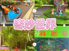 -佛冈森波拉度假区
