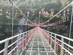 -九龙江国家森林公园