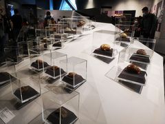 -北京周口店北京人遗址博物馆