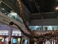 -自贡恐龙博物馆