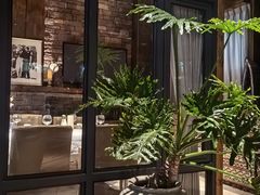 -一棵树·意大利西餐厅One Tree(新城店)