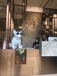 -OnHair Salon