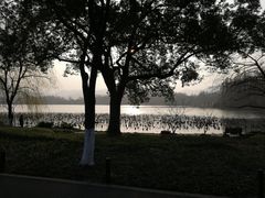 -苏堤停车场