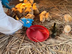 -HERRE·FARM 赫尔露营农场·团建聚会包场