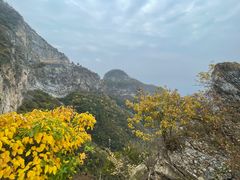 -圣莲山风景区