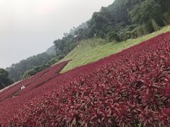 -保利石象湖景区