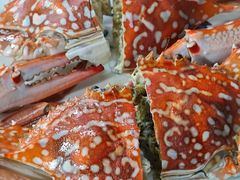 -坛南湾阿强农家乐.海鲜大排档老字号(福州地标美食店)