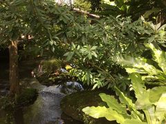 -绿光森林餐厅